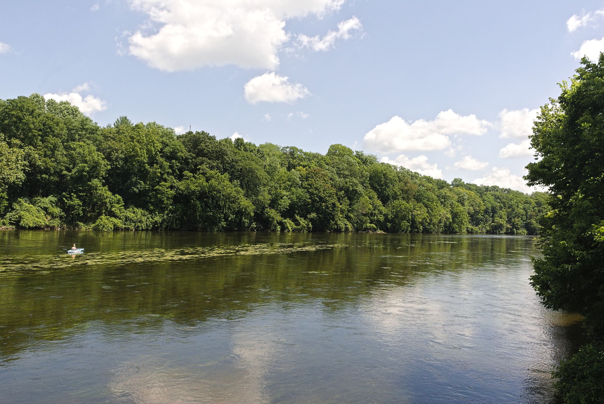 Wide river with lush green banks under a bright, cloudy sky. - Basilica of the Sacred Heart – Michigan River Valley Trail loop from Niles