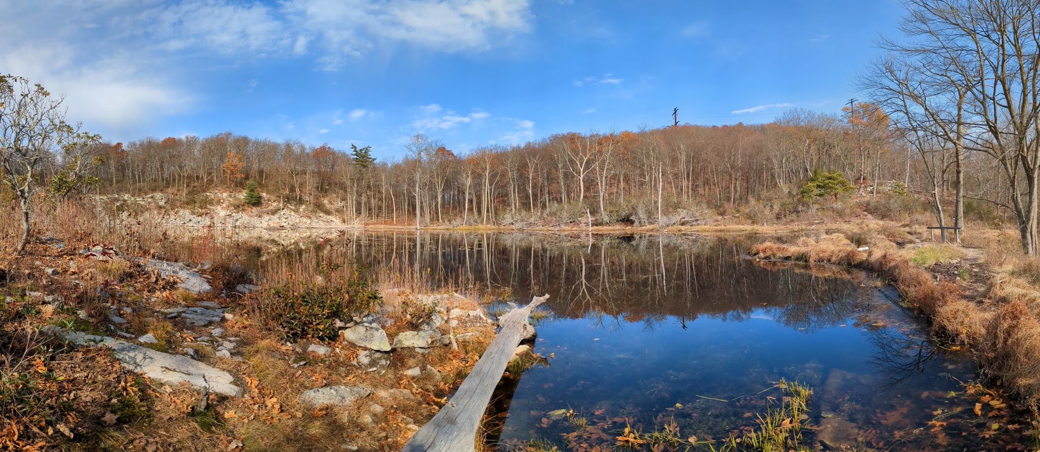 Still pond reflecting bare trees under a clear blue sky, with a log. - AMC Mohican Outdoor Center – Catfish Fire Tower loop from Blue Mountain Lake