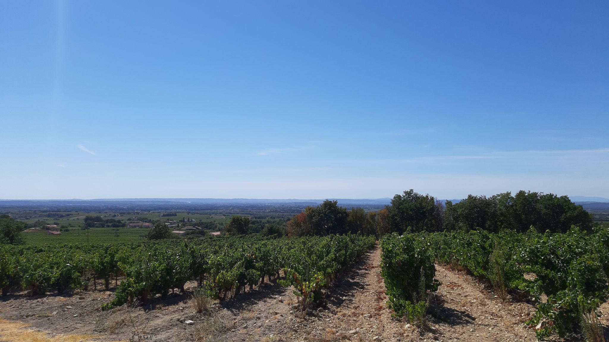 Rhônetal