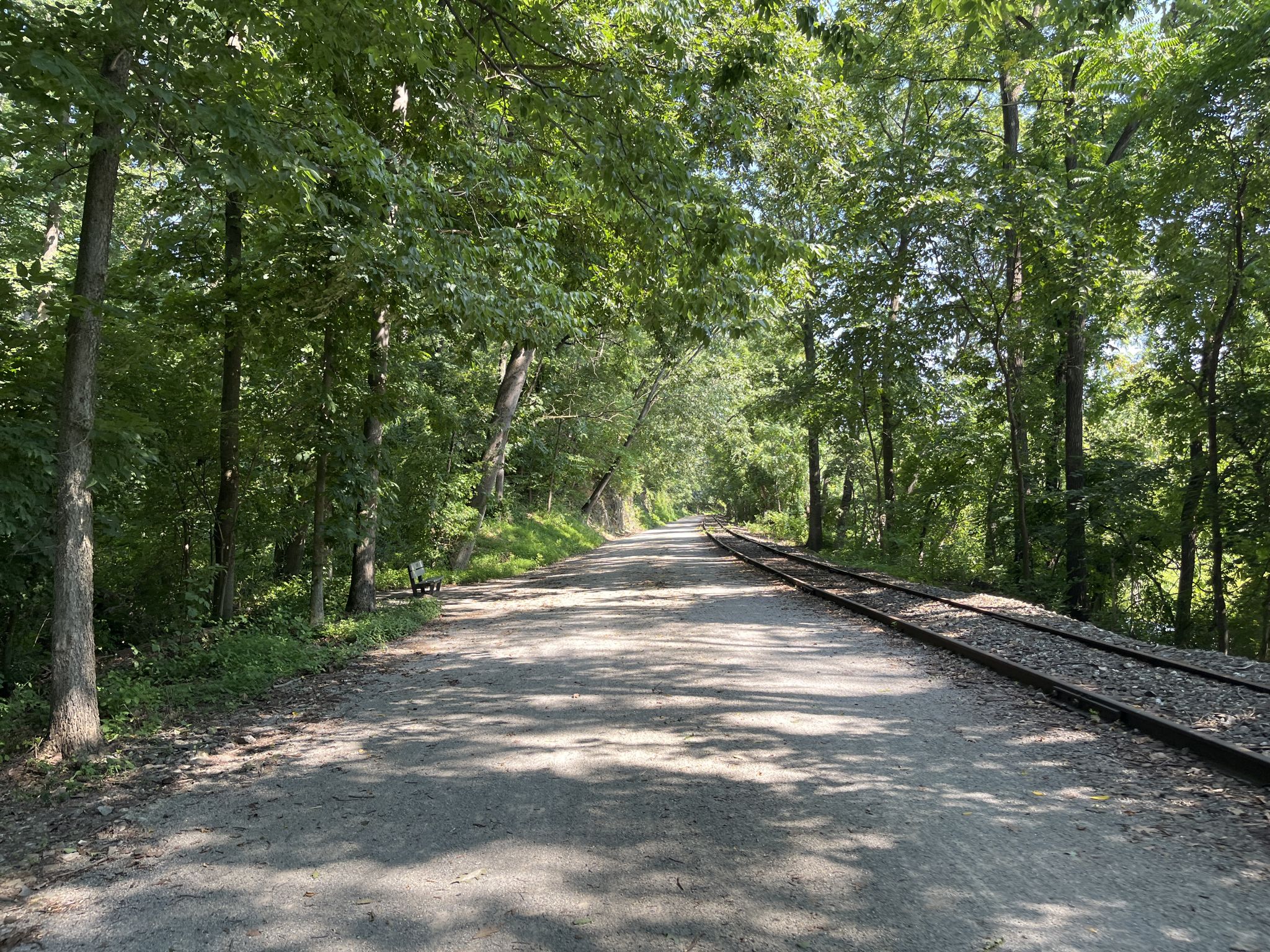 A shaded gravel path next to railroad tracks through a green forest. - Running loop from York