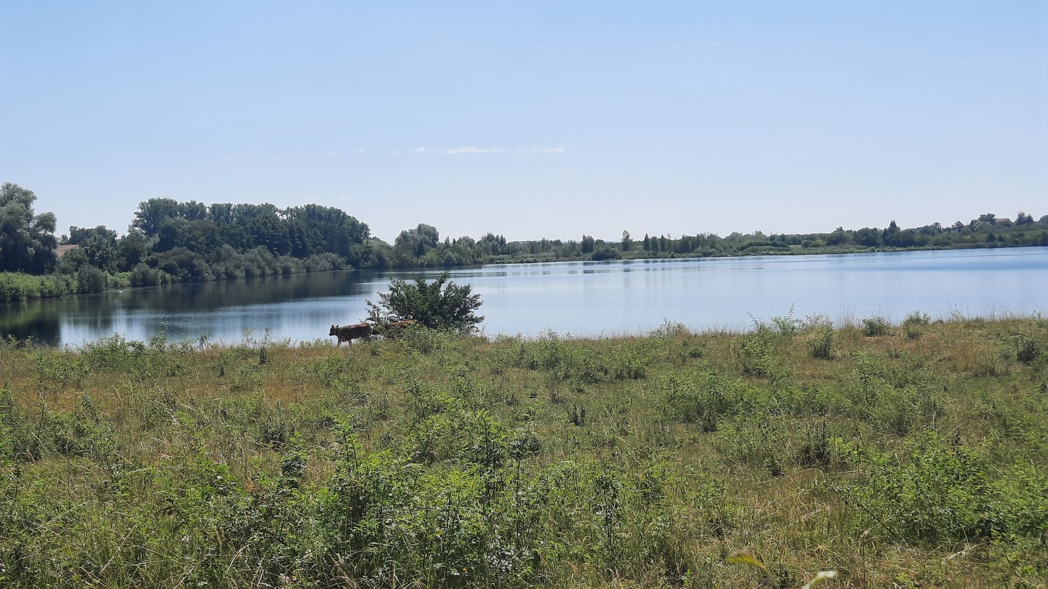 Oberer Knappensee
