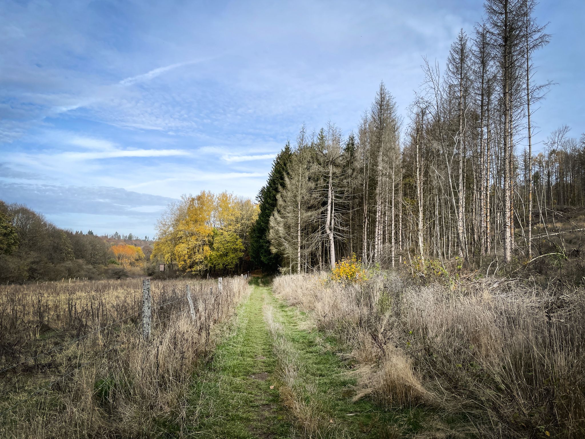 Einstieg in das Aubachtal