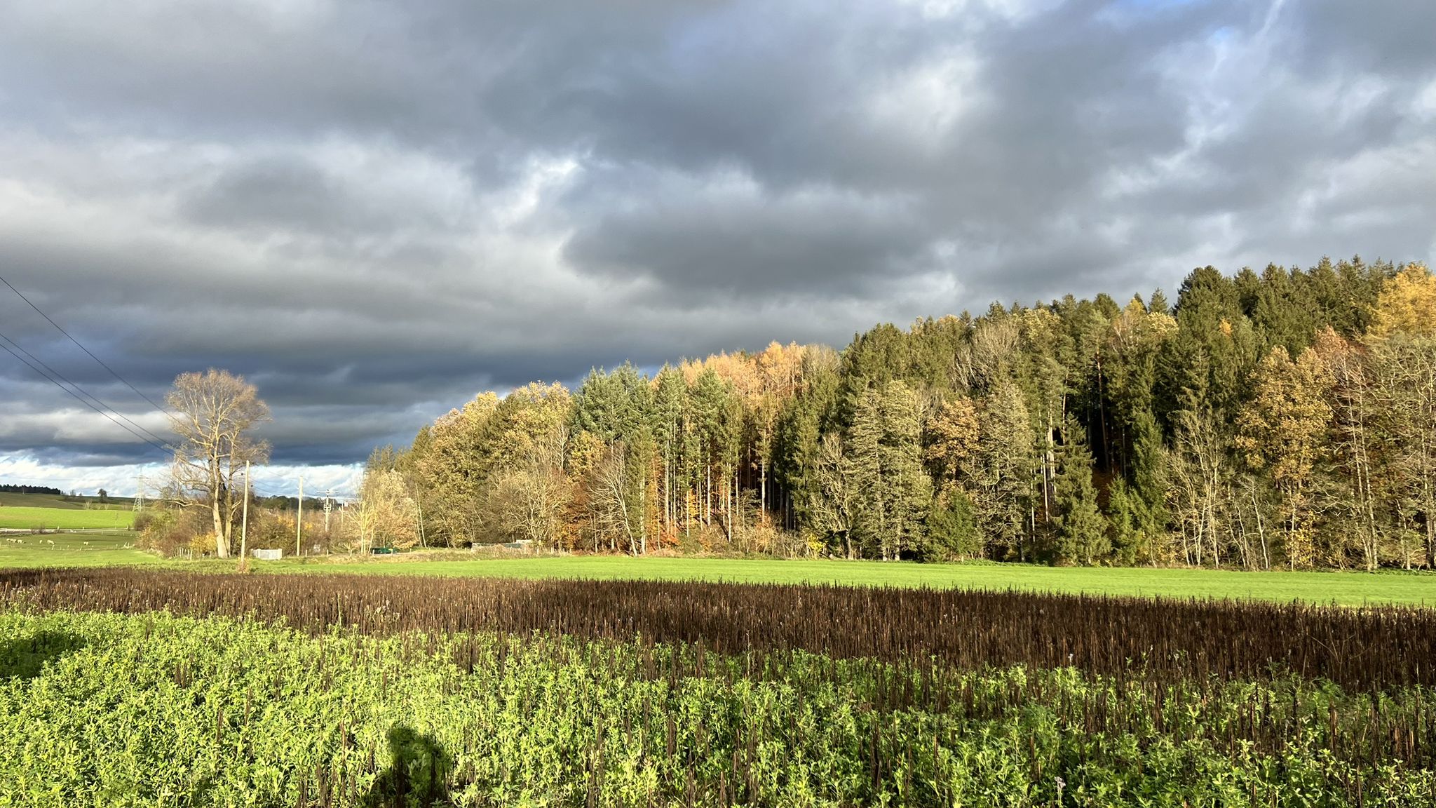 Kein Problem..die dunklen Wolken san scho durchgezogen und schleichen sich jetzt Richtung Osten