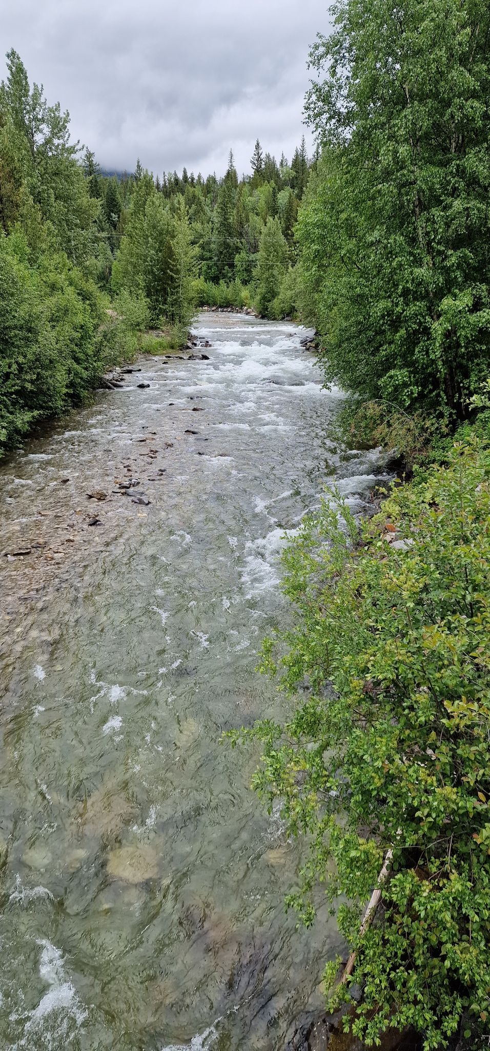 Swift Creek