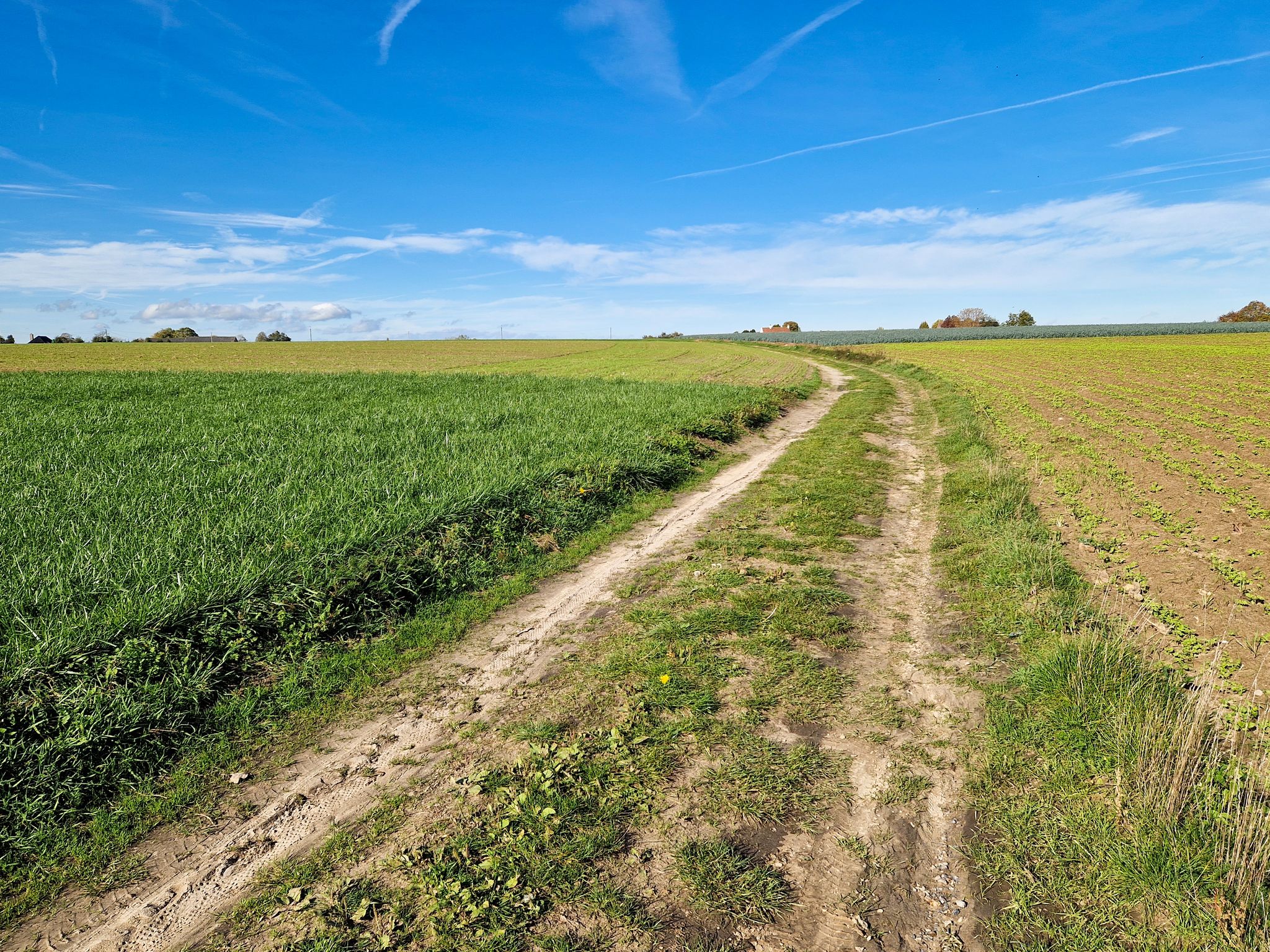 Aardeweg bij Kruishoutem