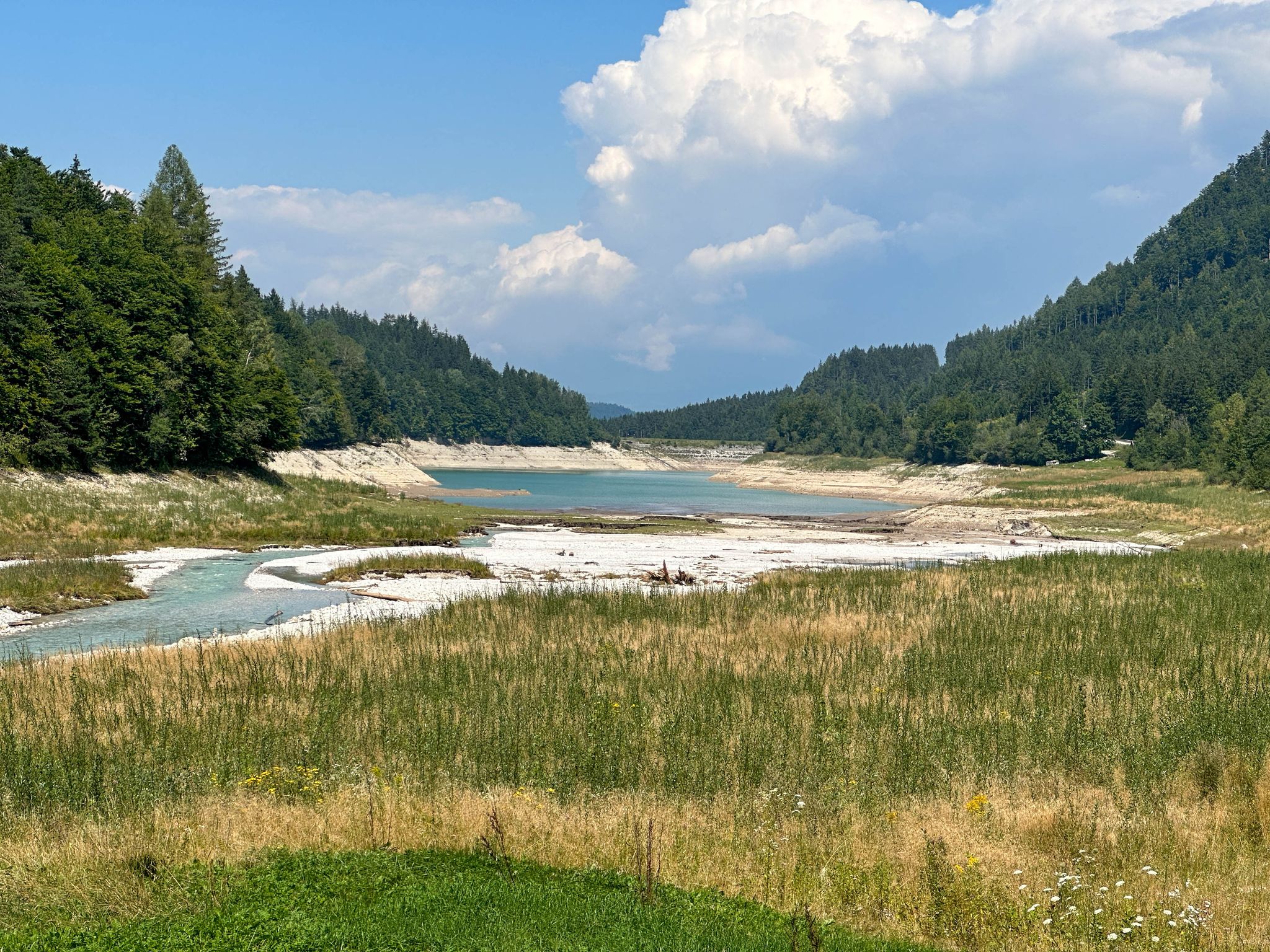 Freibacher Stausee