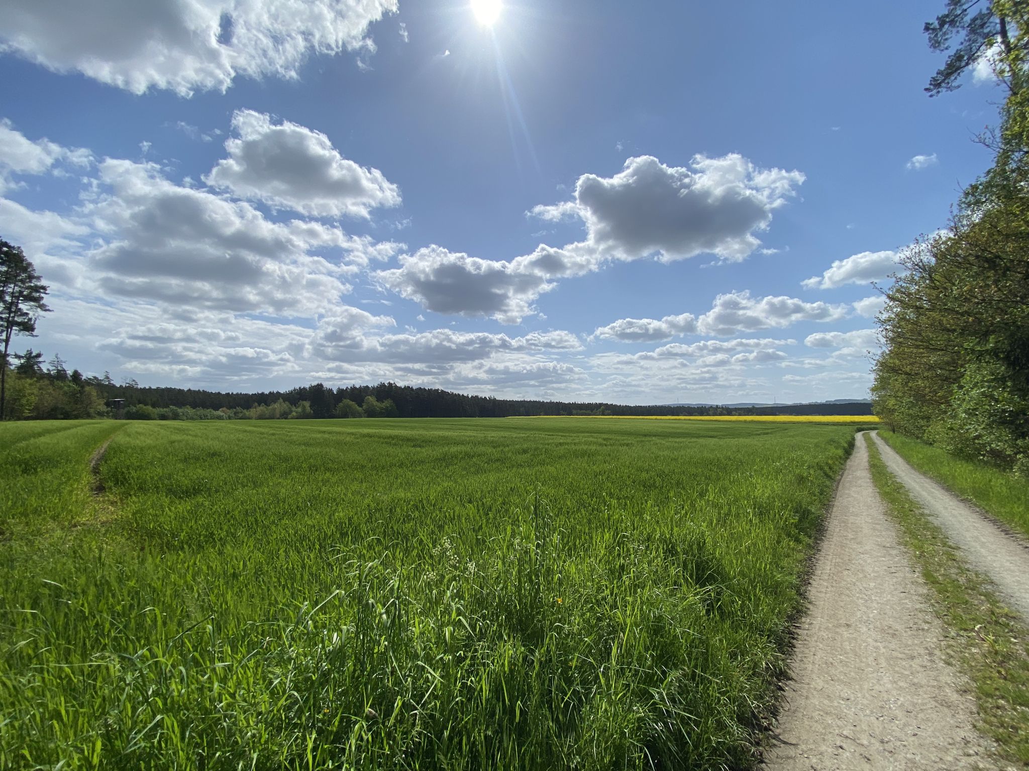 Wetter zum Vatertag passt 😀 nur der Wind könnte etwas weniger sein 