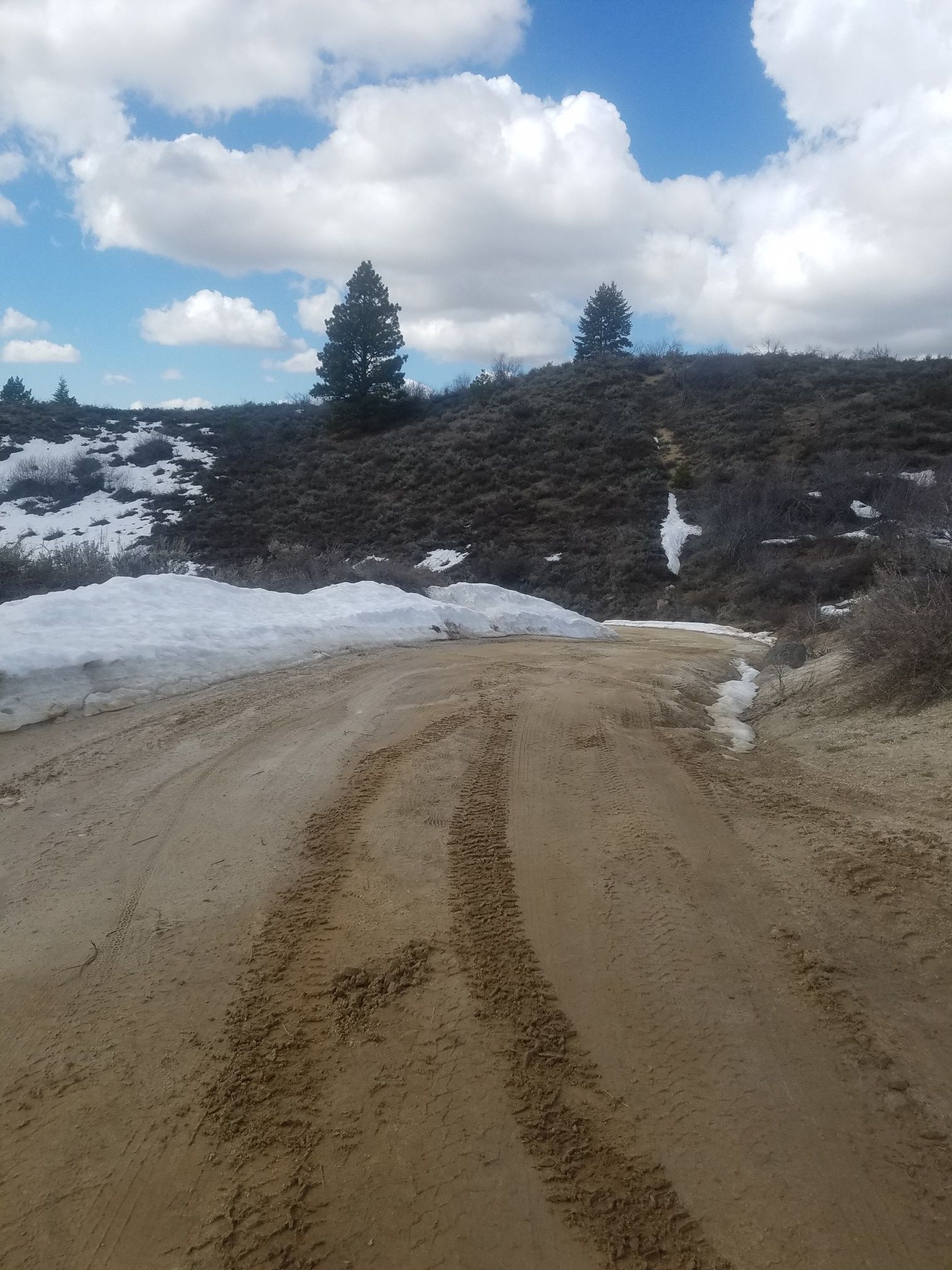 A dirt road with tire tracks winds through snowy, hilly terrain under a cloudy sky. - Ann Morrison Park – Bike Park loop from Boise
