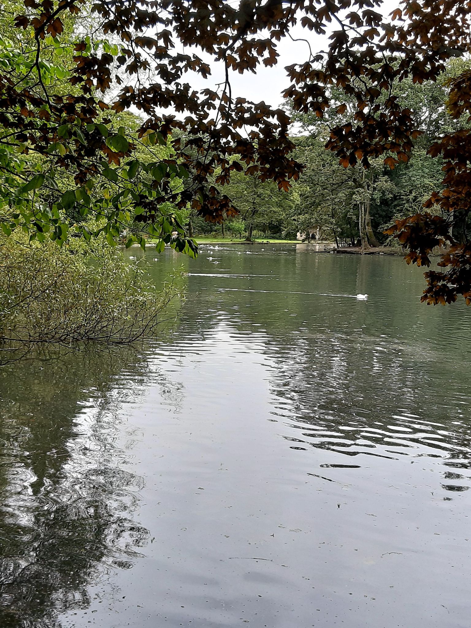 Victoria Park 
