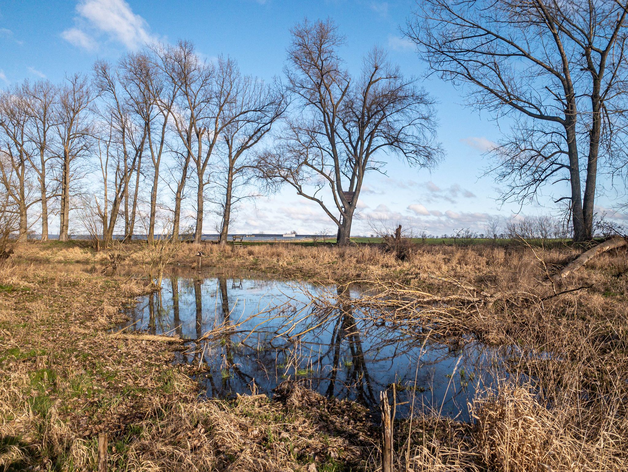 Tränke (führte wieder etwas mehr Wasser als noch am 29. September 2019)
