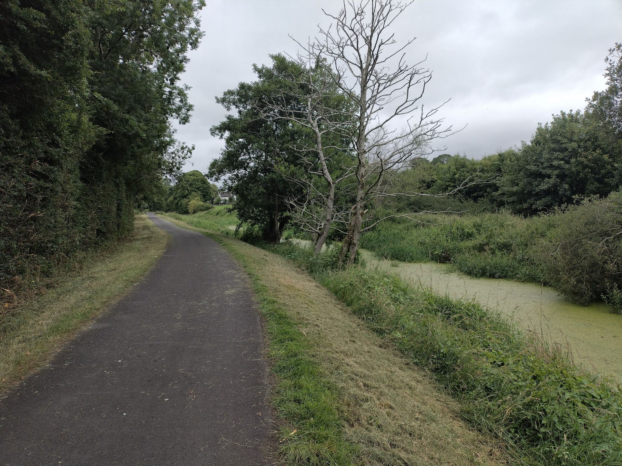 Beautiful towpath