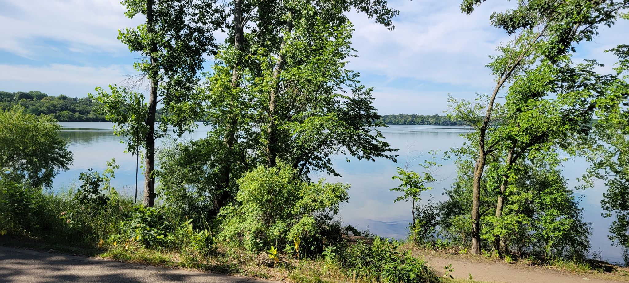 Lush green trees and bushes along a lake shore on a sunny day. - Bde Maka Ska – Thomas Beach loop from West Lake Street
