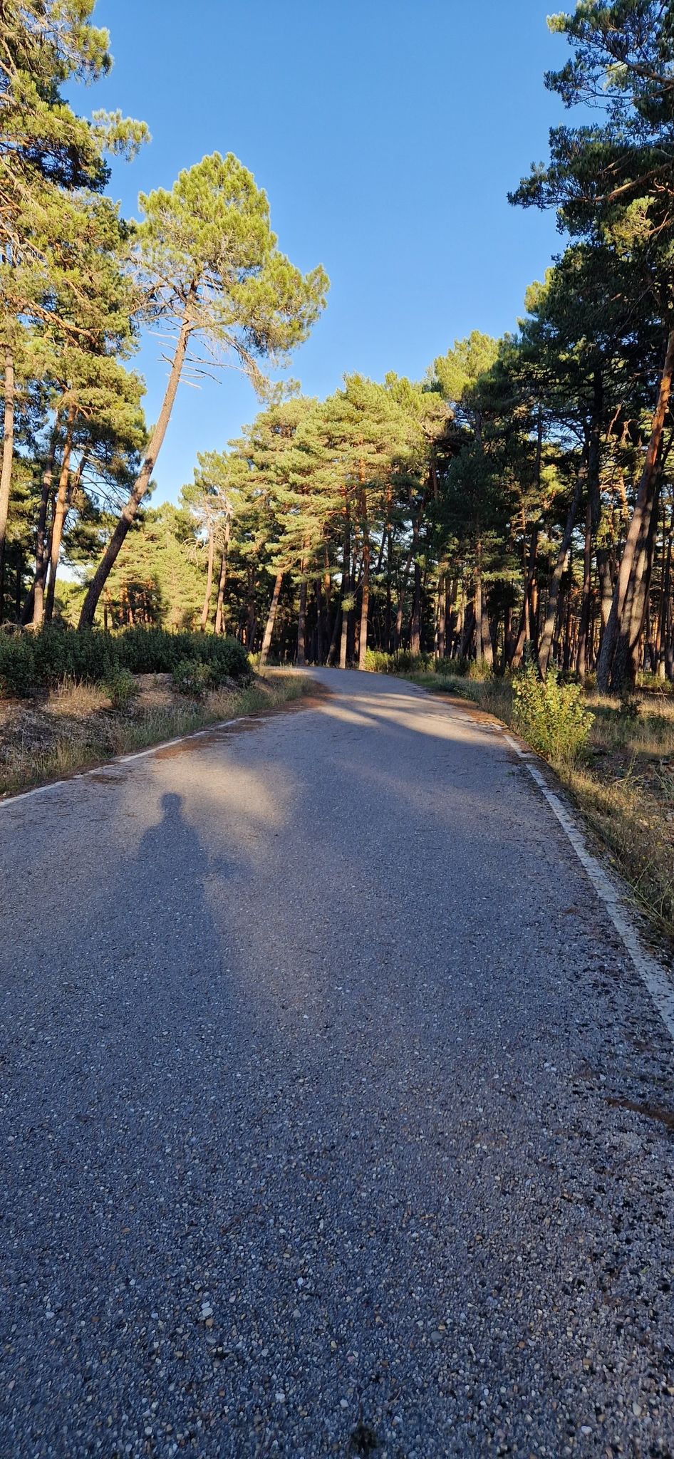 carretera asfaltada