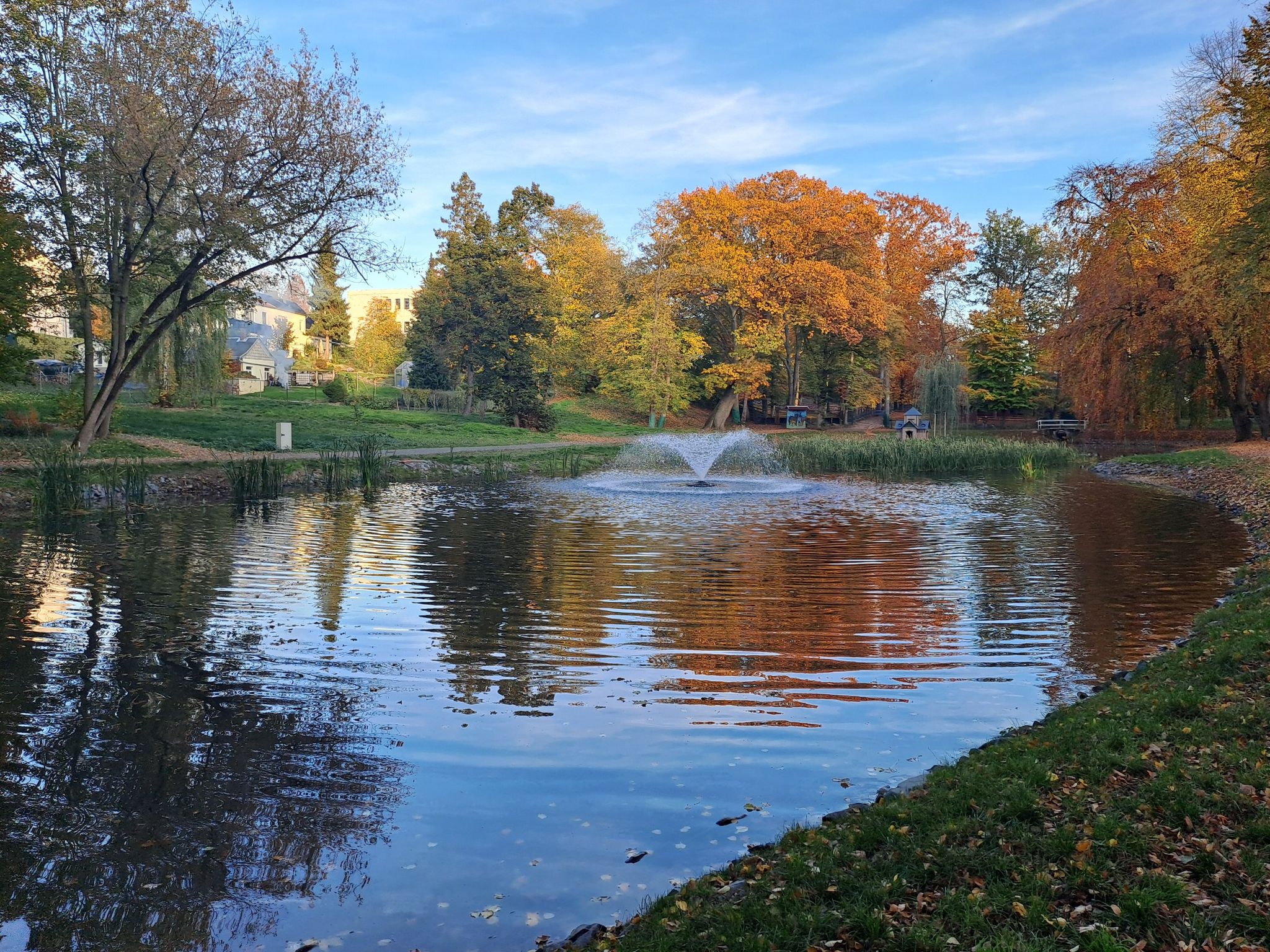 Geithain Teich im Tierpark