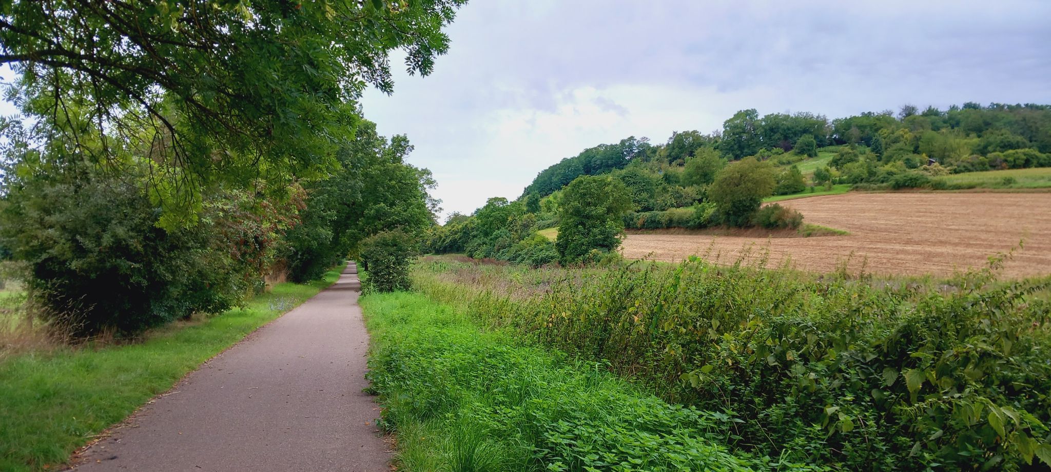 Richtung Angelbachtal