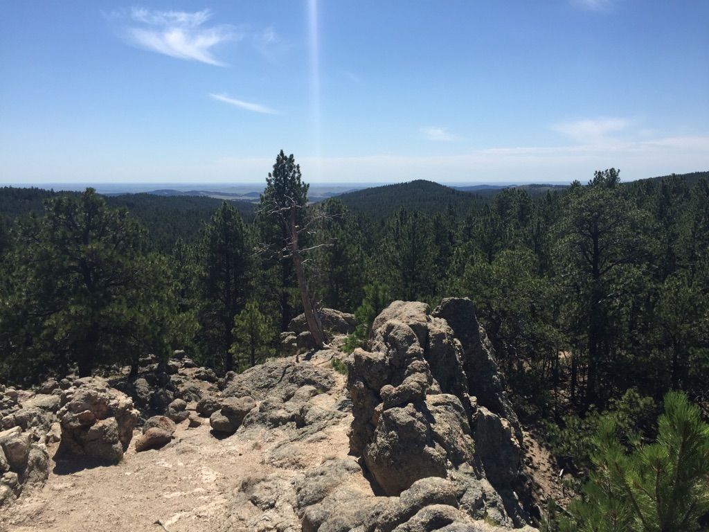 Rocky outcrop overlooks a vast green forest under a bright, sunny blue sky. - Lovers' Leap Trail