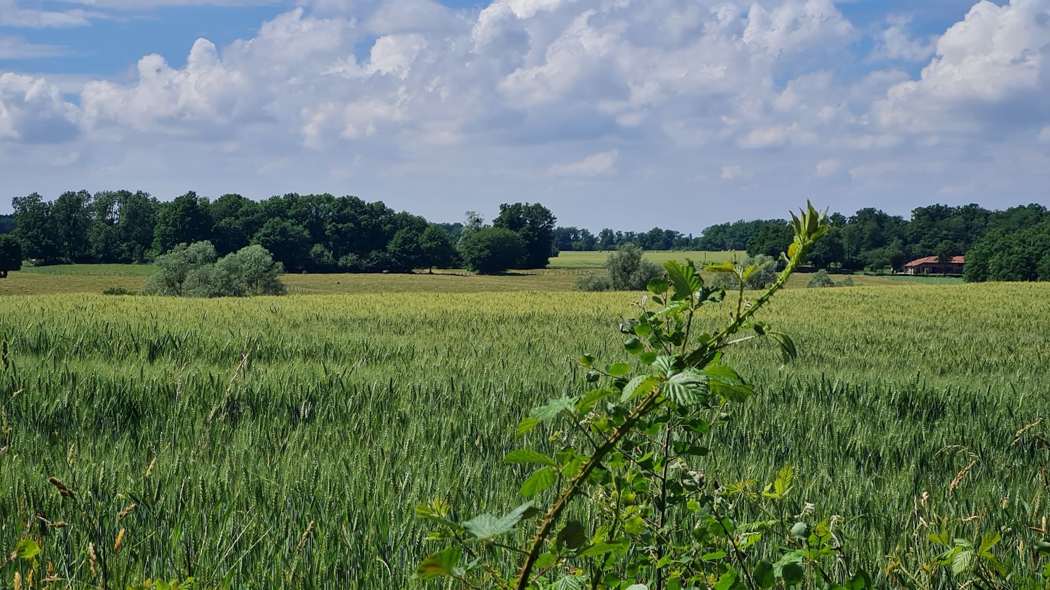 onderweg