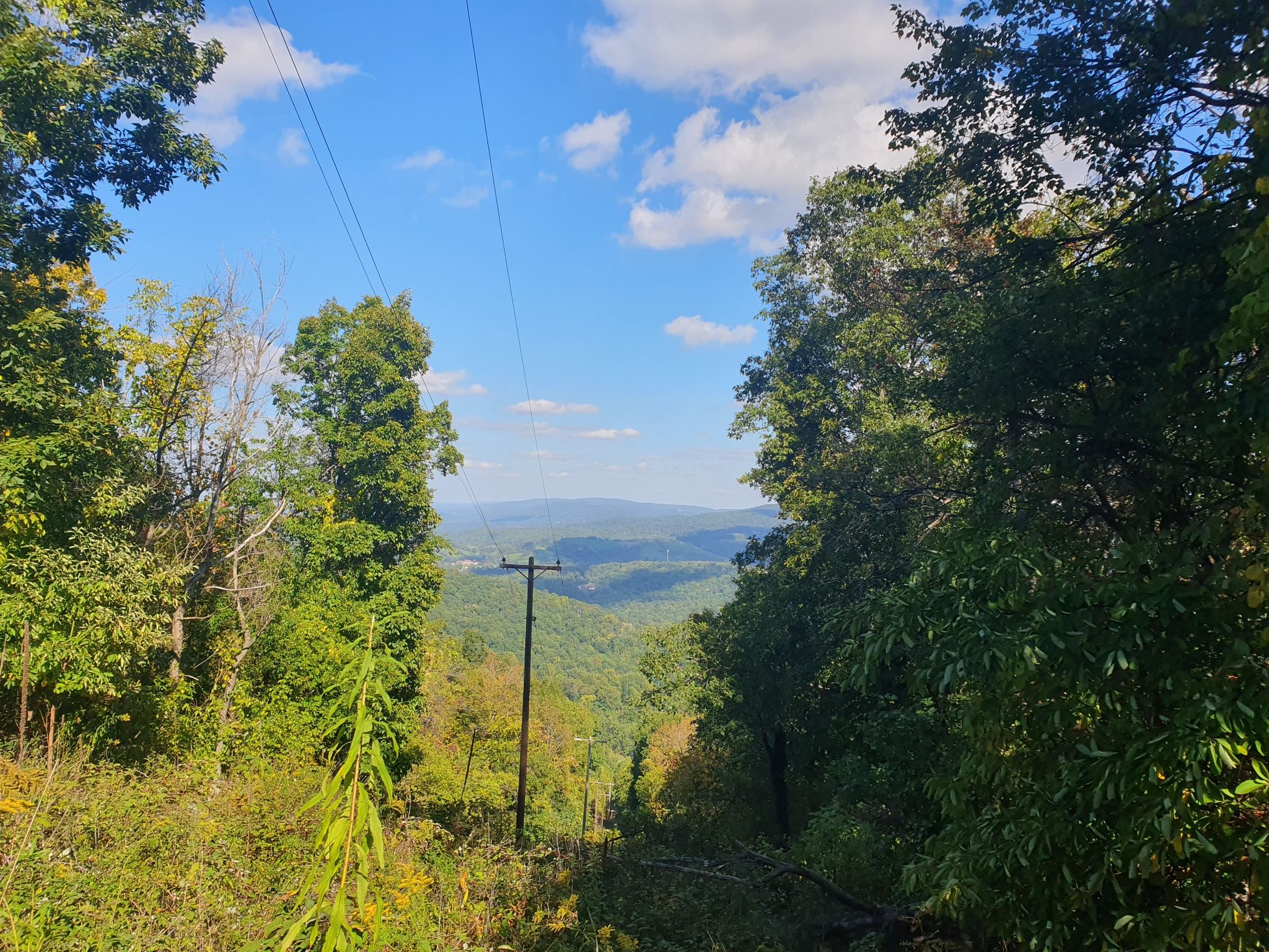 Mountainous landscape with power lines, green trees, and a bright blue sky. - Snead Farm Loop