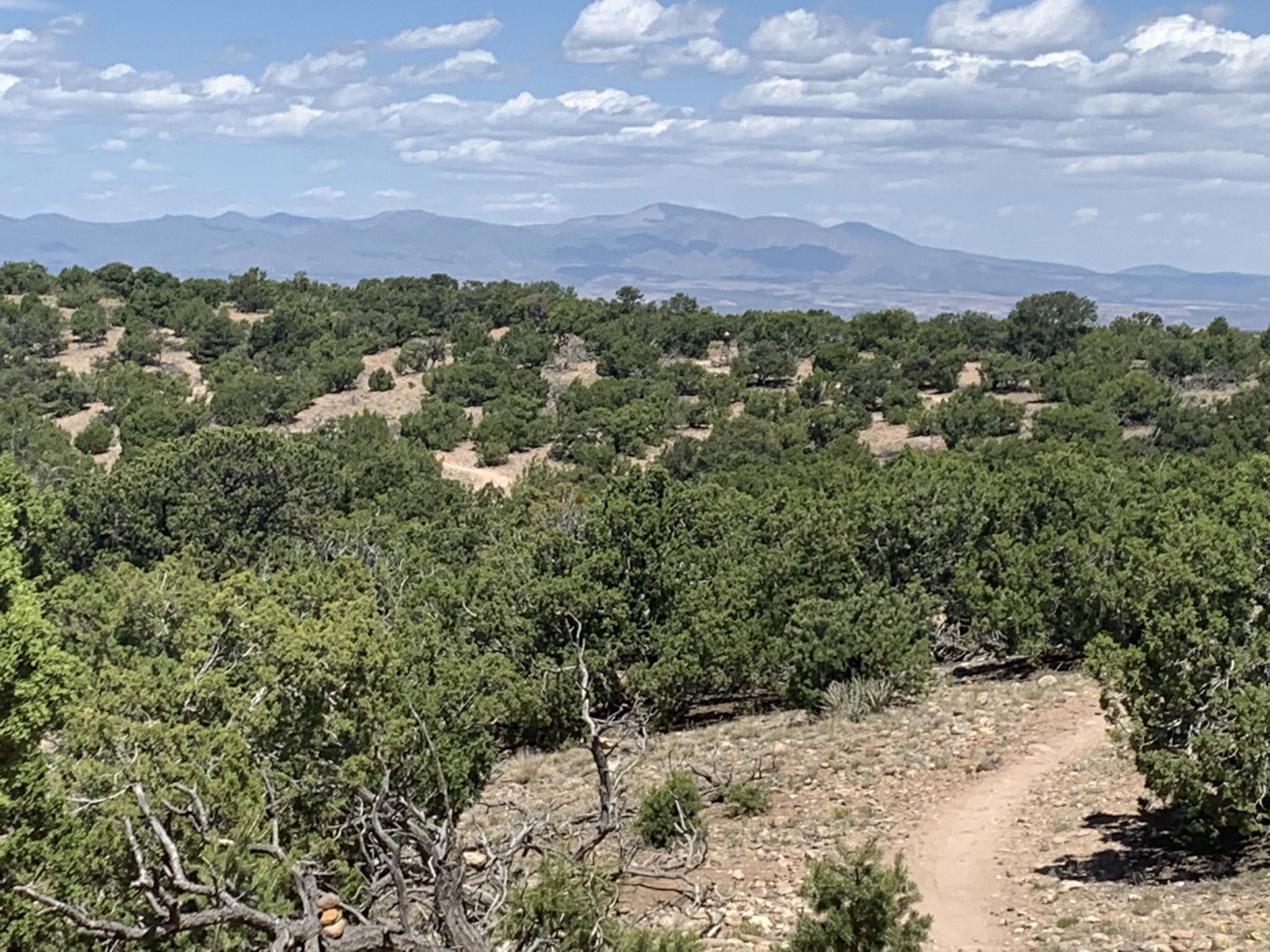 Overhead view of a dirt path winding through green trees with distant mountains. - Arroyo Trail