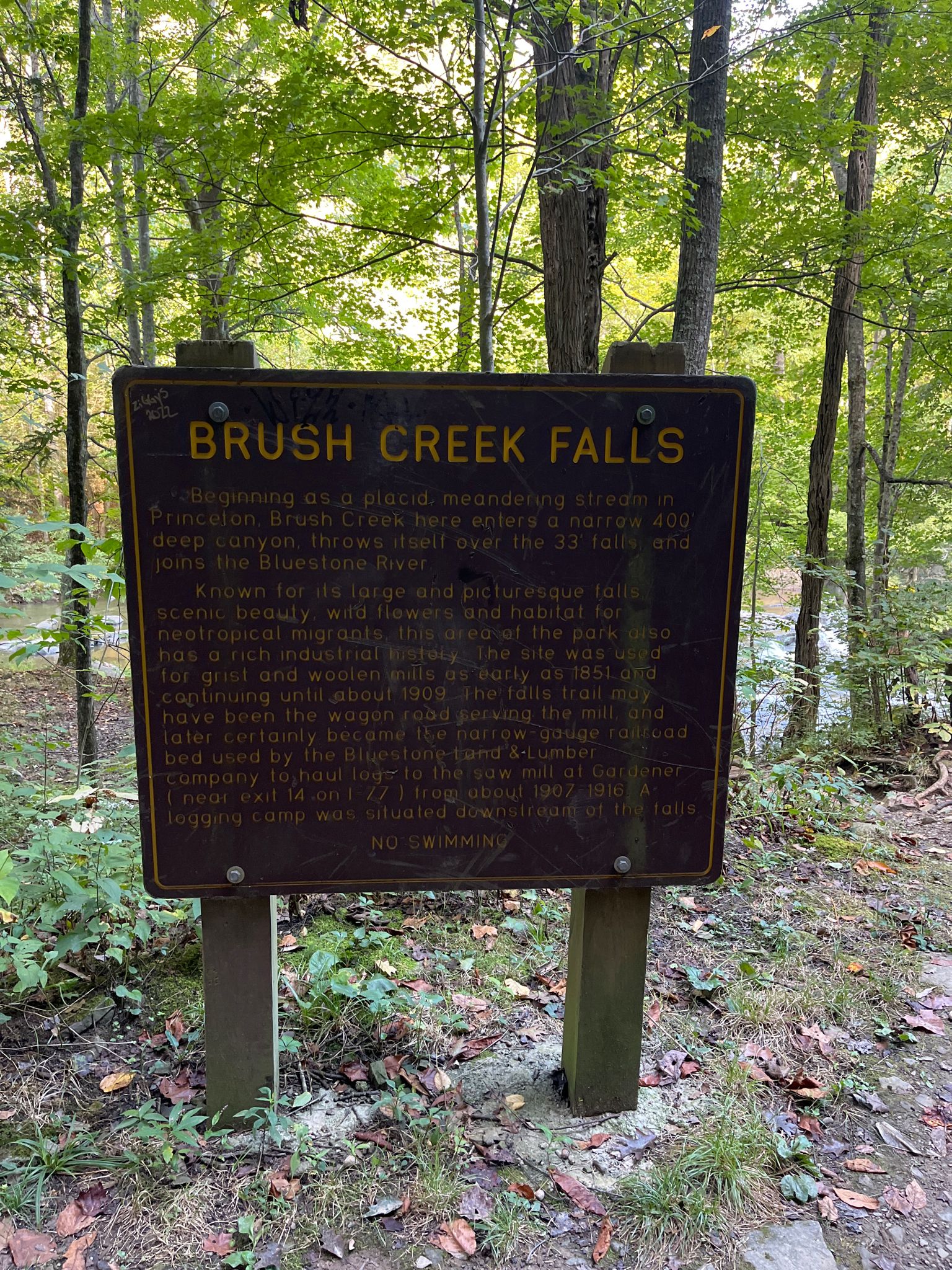 Brown interpretive sign stands in a forest with green foliage. - Brush Creek Falls Trail