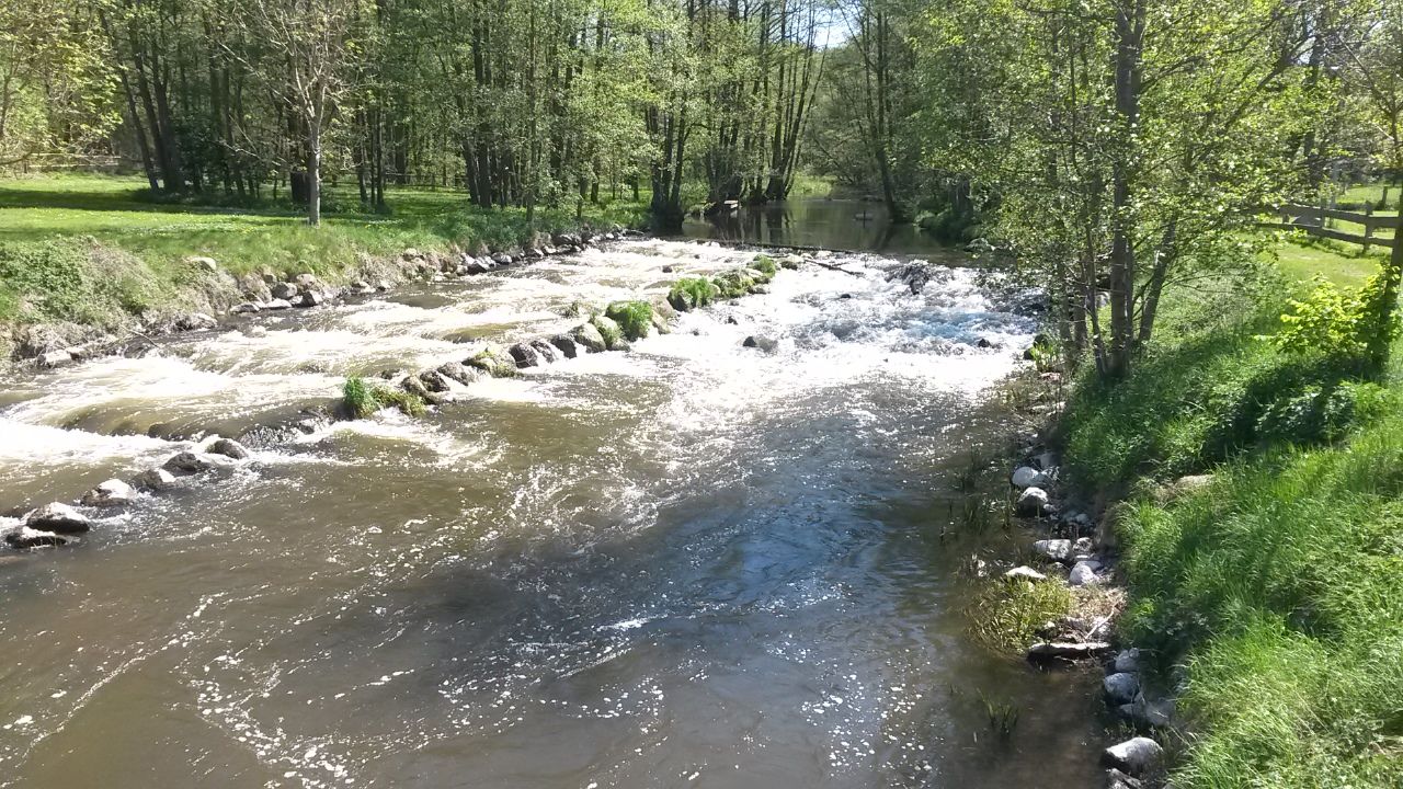 die Warnow in Eickhof