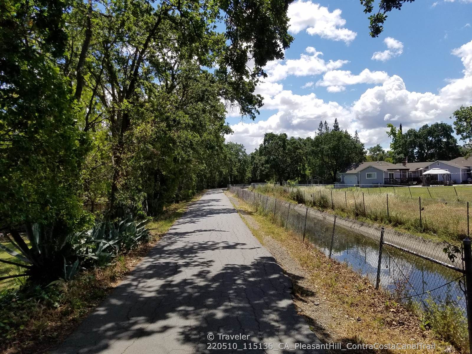 Shaded paved path next to a fenced canal, houses in distance. - Contra Costa Canal Trail