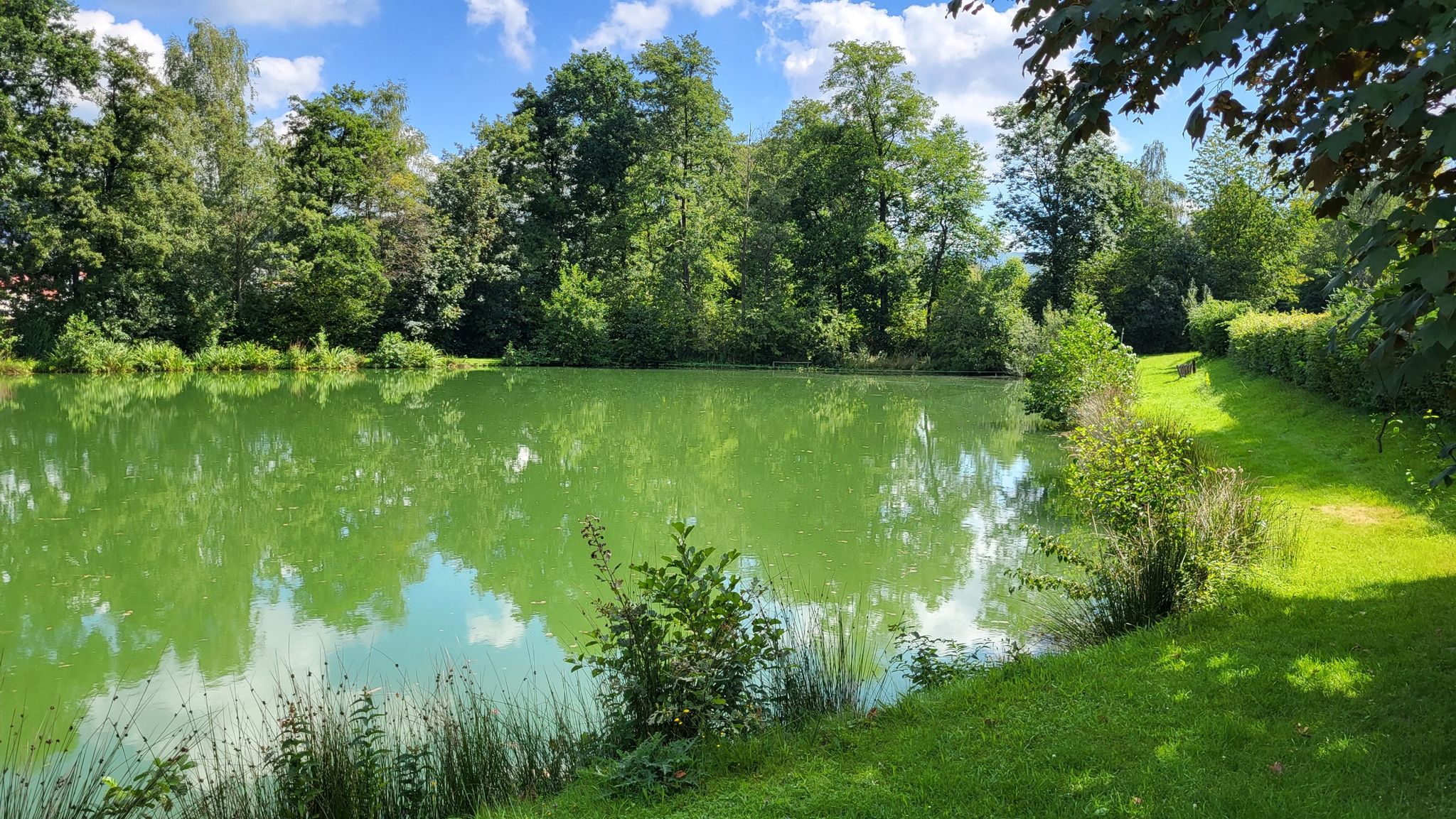 Angelteich