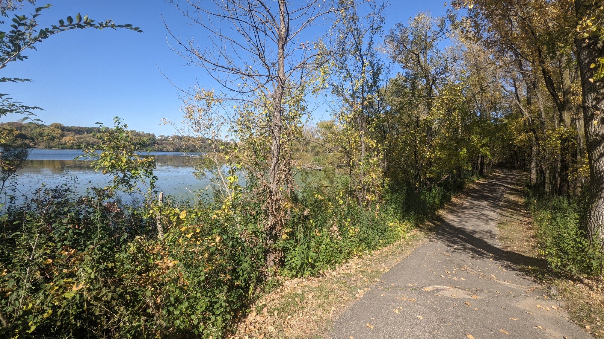 Paved path next to a lake, surrounded by autumn trees under a clear sky. - Snelling Lake, Fort Snelling, Picnic Island Loop
