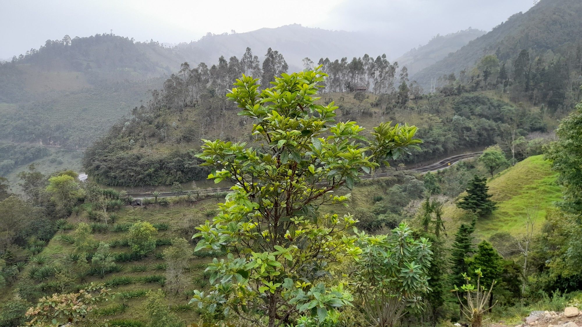desvio Santa Barbara