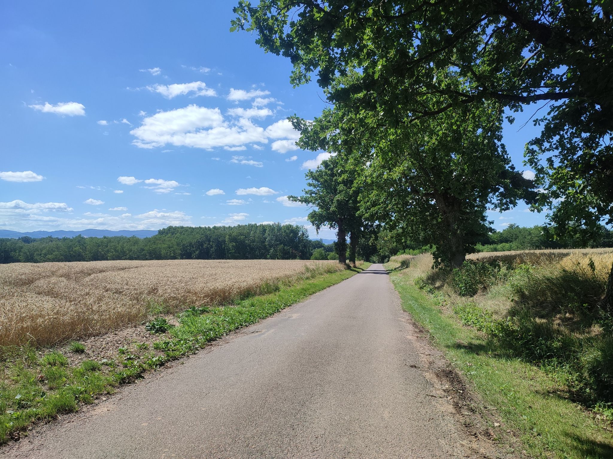 kleine Straße abwärts zur Saone