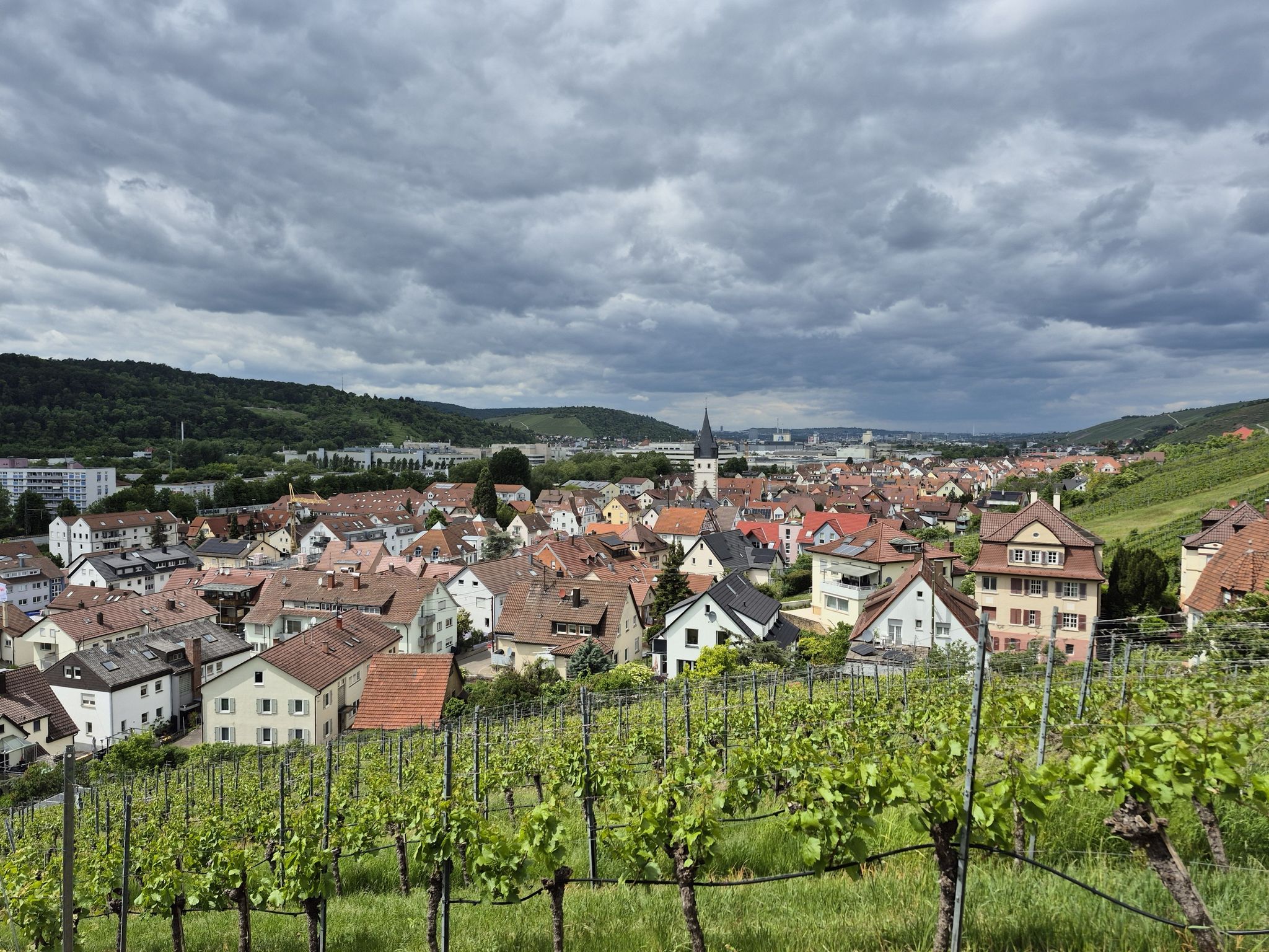 Mettingen 
