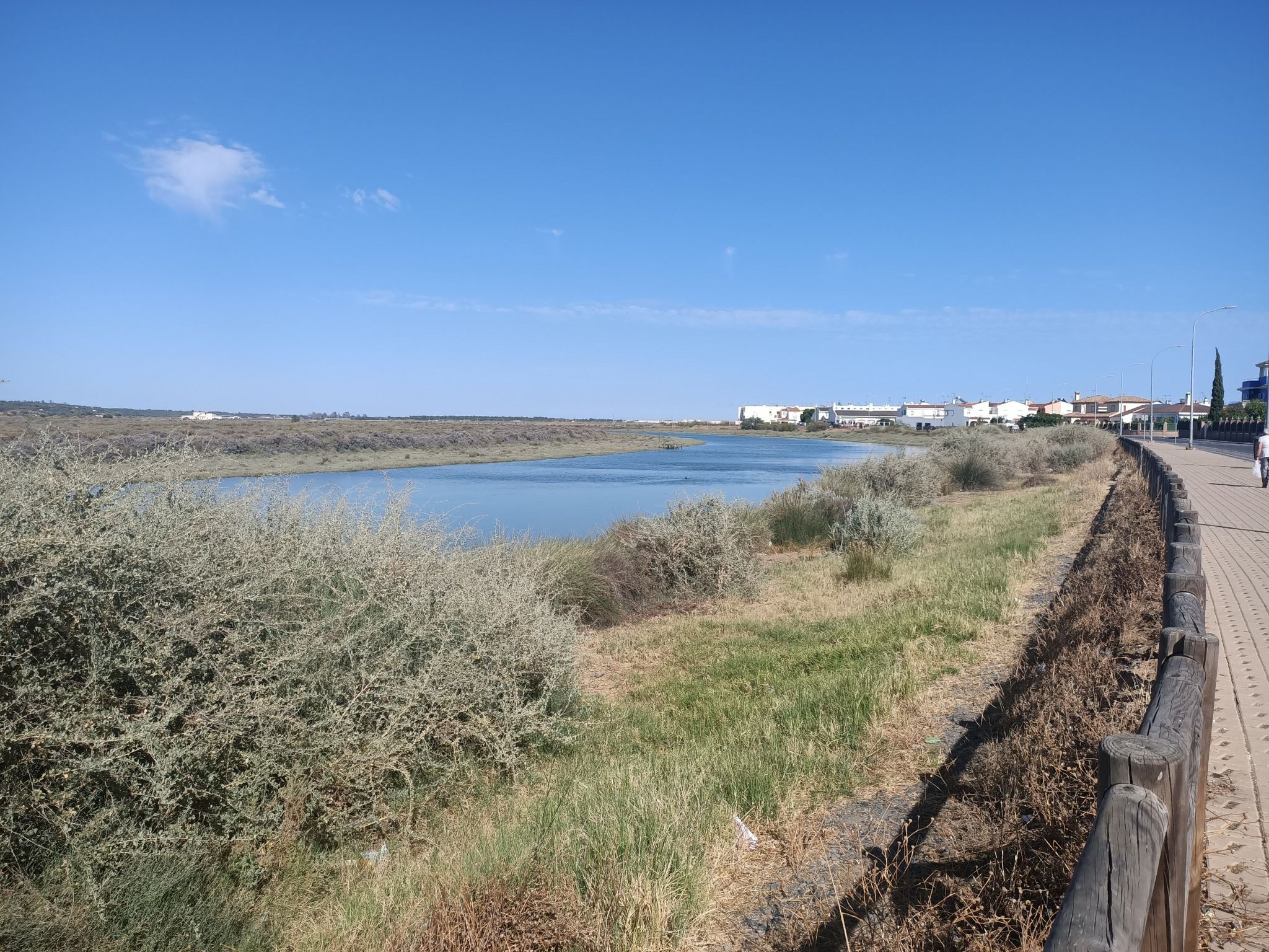 Estero brazo guadiana
