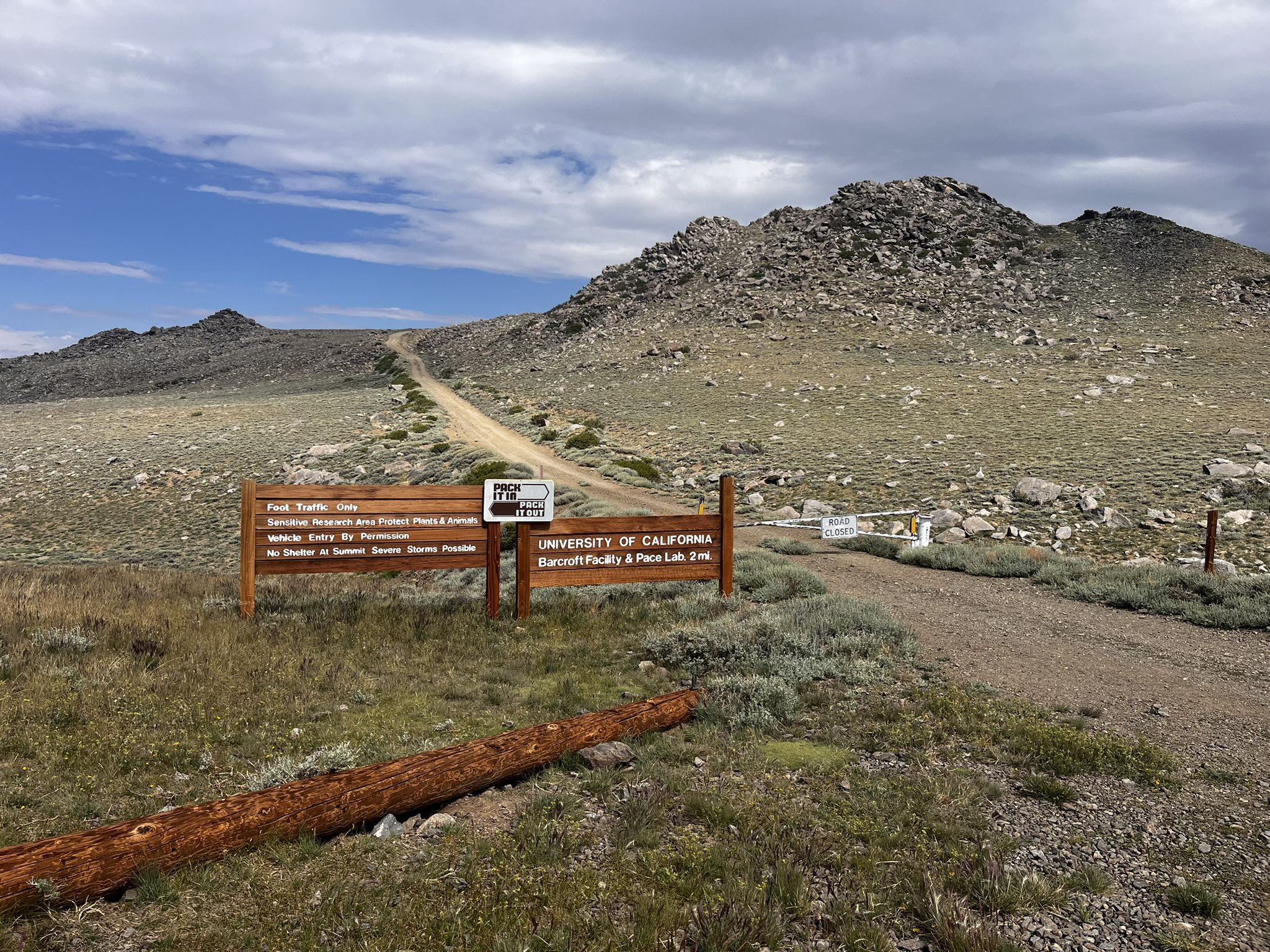 Wooden signs beside a dirt road leading to rocky hills. - White Mountain Trailhead loop from Barcroft White Mountain Research Station