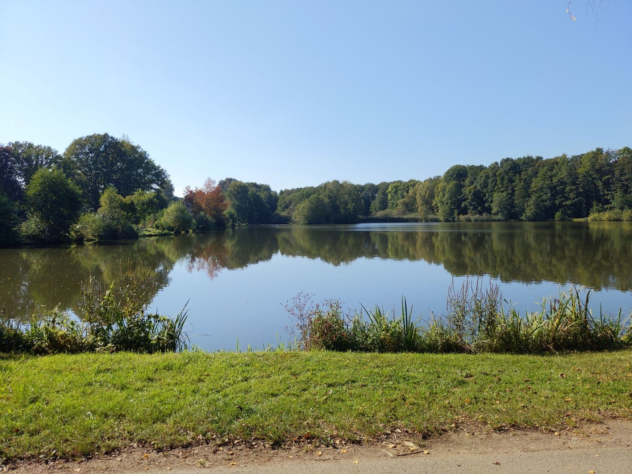 Moormühlweiher