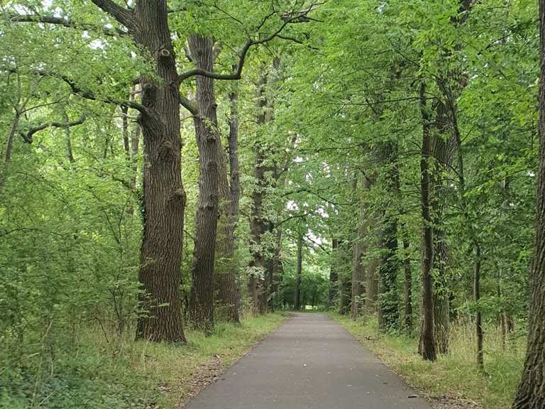 Der Saaleradweg - 9 Etappen von der Elbe an die Quelle - Tag 2 - Von ...