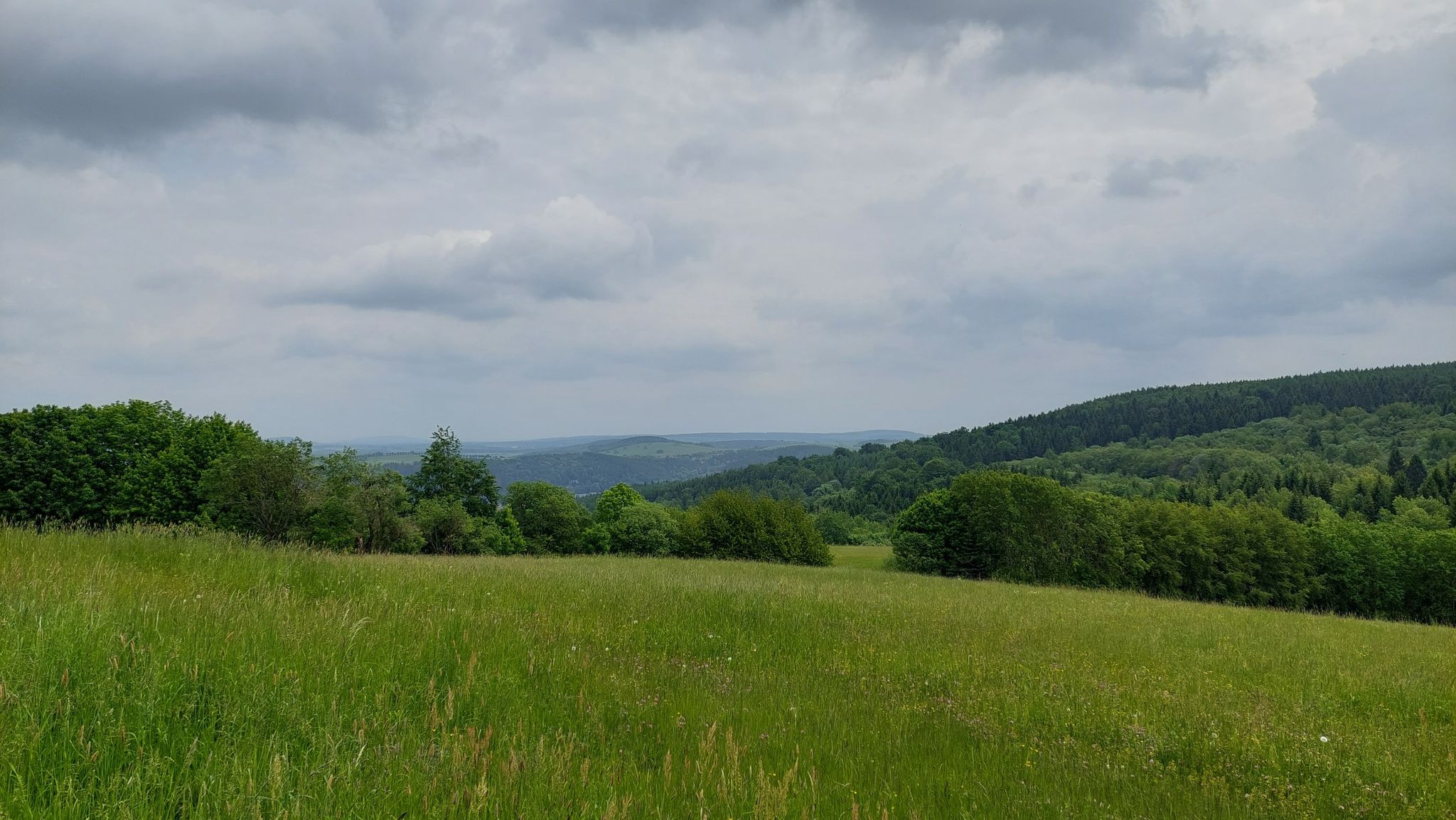 Blickrichtung Müglitztal 