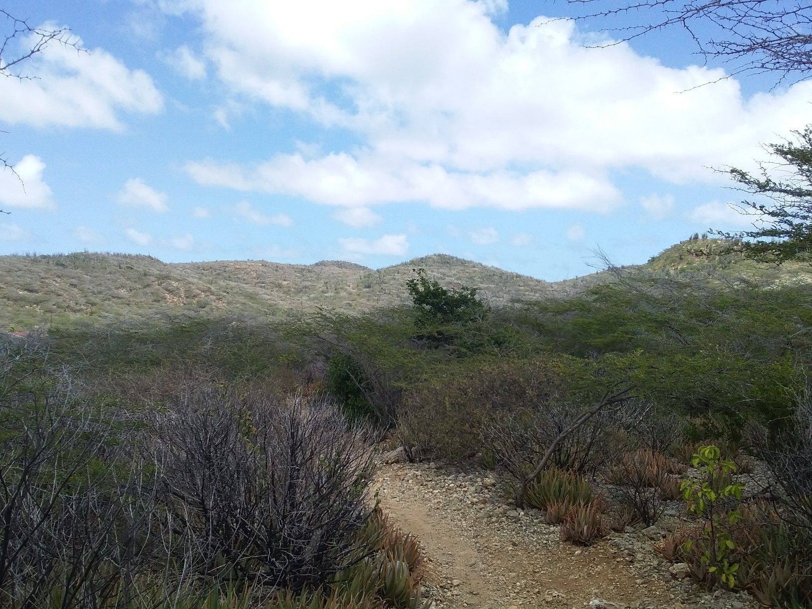 group of big hills 