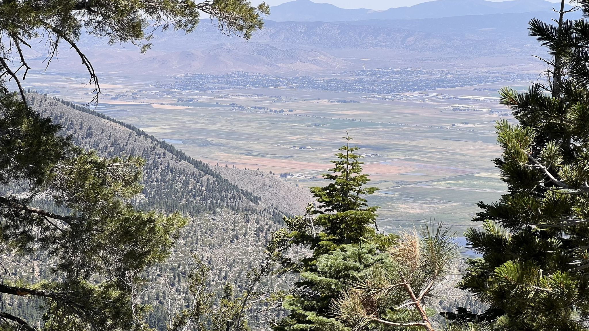 Panoramic mountain view through pine branches, overlooking a wide valley. - Tahoe Rim Trail: Kingsbury South to Star Lake