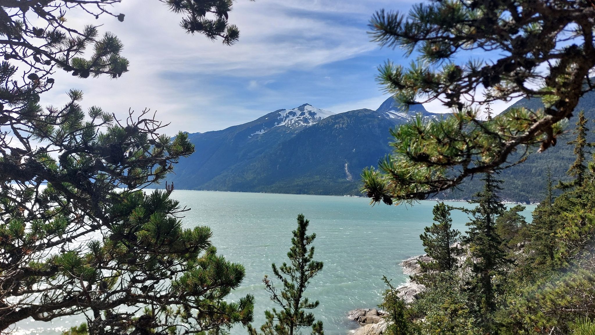 Large lake and snow-capped mountains framed by green pine trees. - AB Mountain Trail