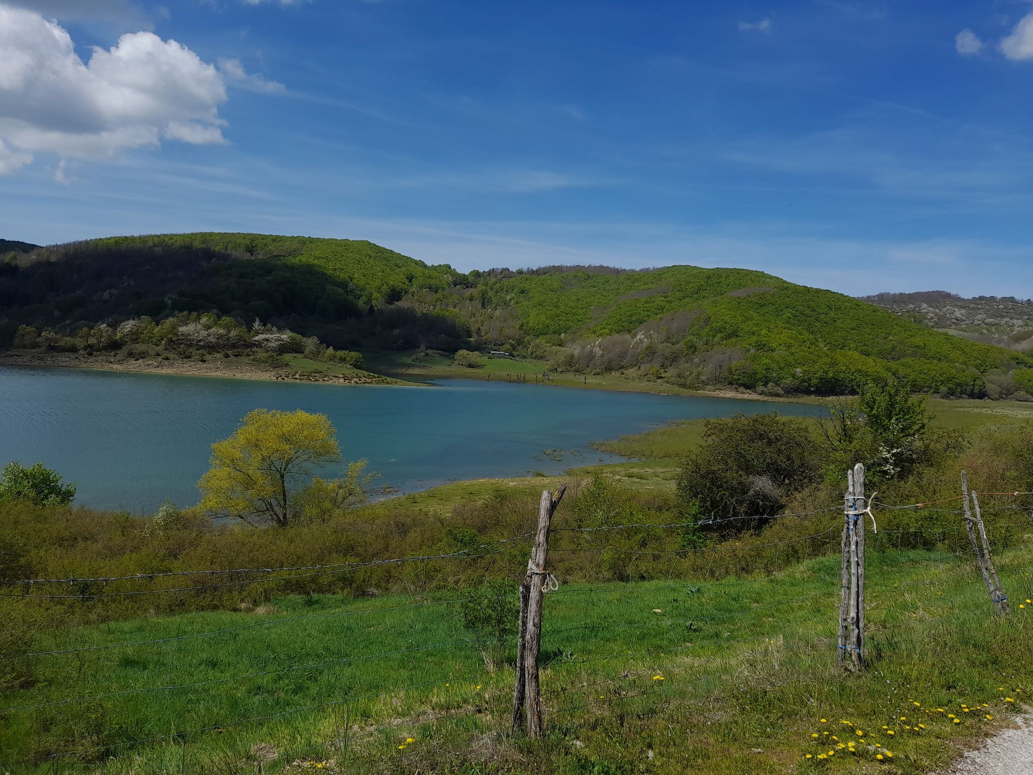 lago 1