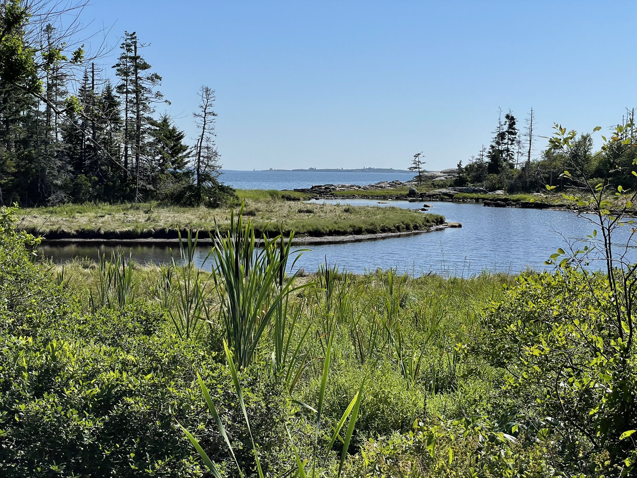 Sunny view of a calm coastal inlet surrounded by lush green vegetation and trees. - Southport Island loop from Oak Point Farm