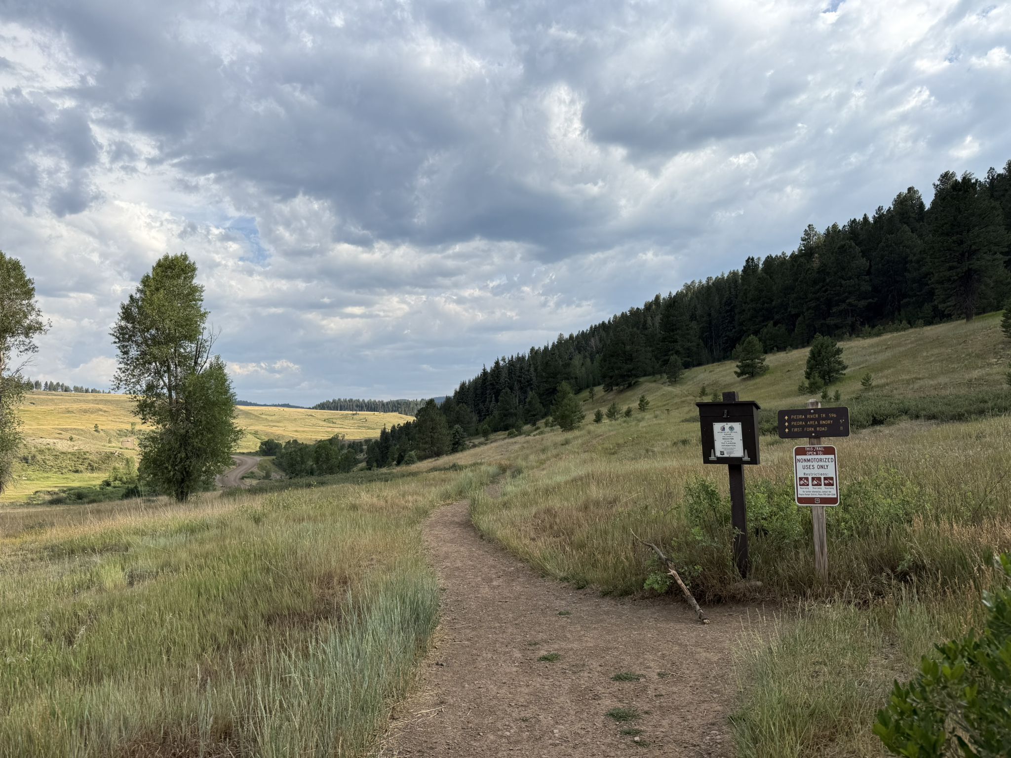 A dirt path leads through a grassy field under a cloudy sky. - Piedra Ice Fissures Trail