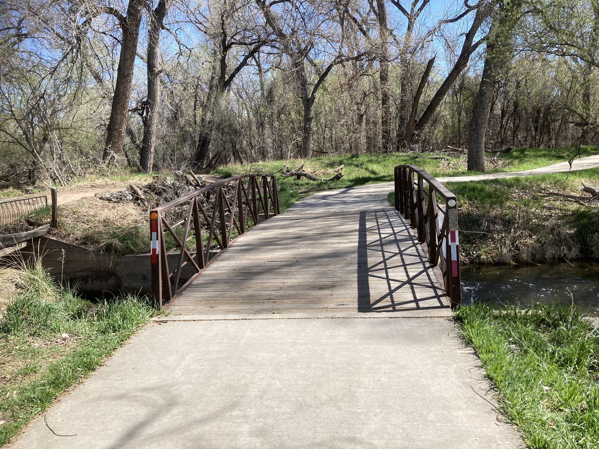 Sunny path leading to a wooden bridge over a stream, surrounded by trees. - Poudre Ponds Trail