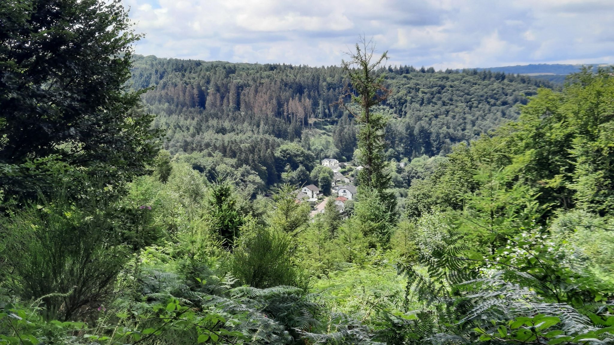 Dreisbach