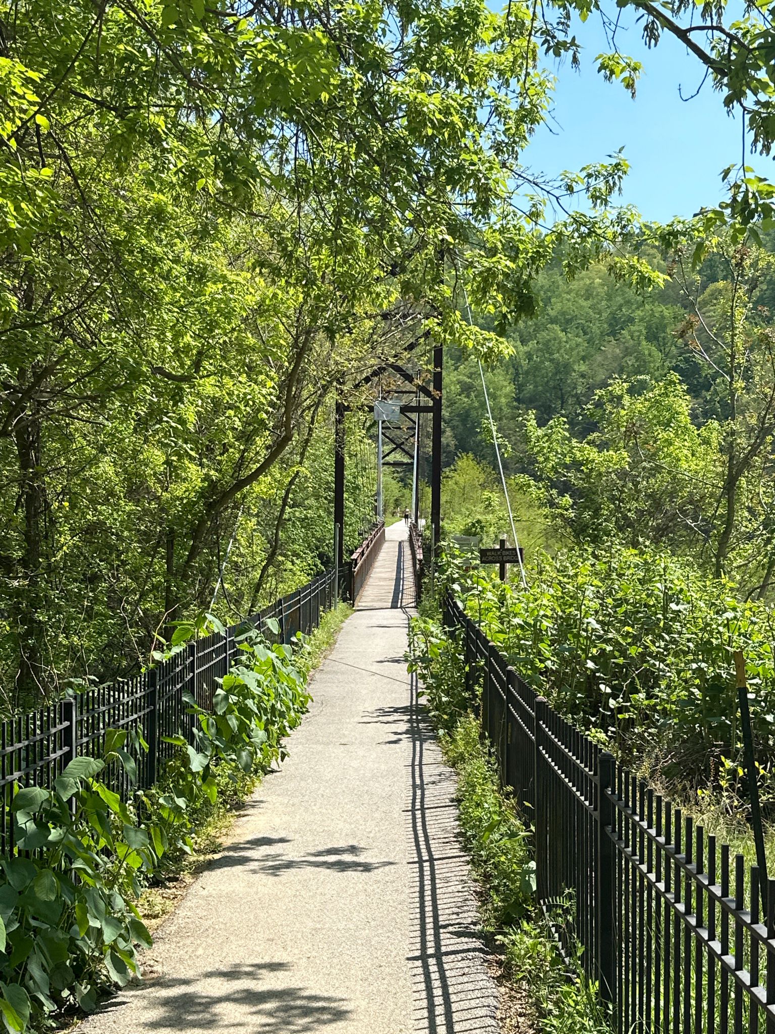 Paved path leading to a suspension bridge surrounded by vibrant green trees. - Patapsco Valley State Park – Ellicott town loop from Catonsville
