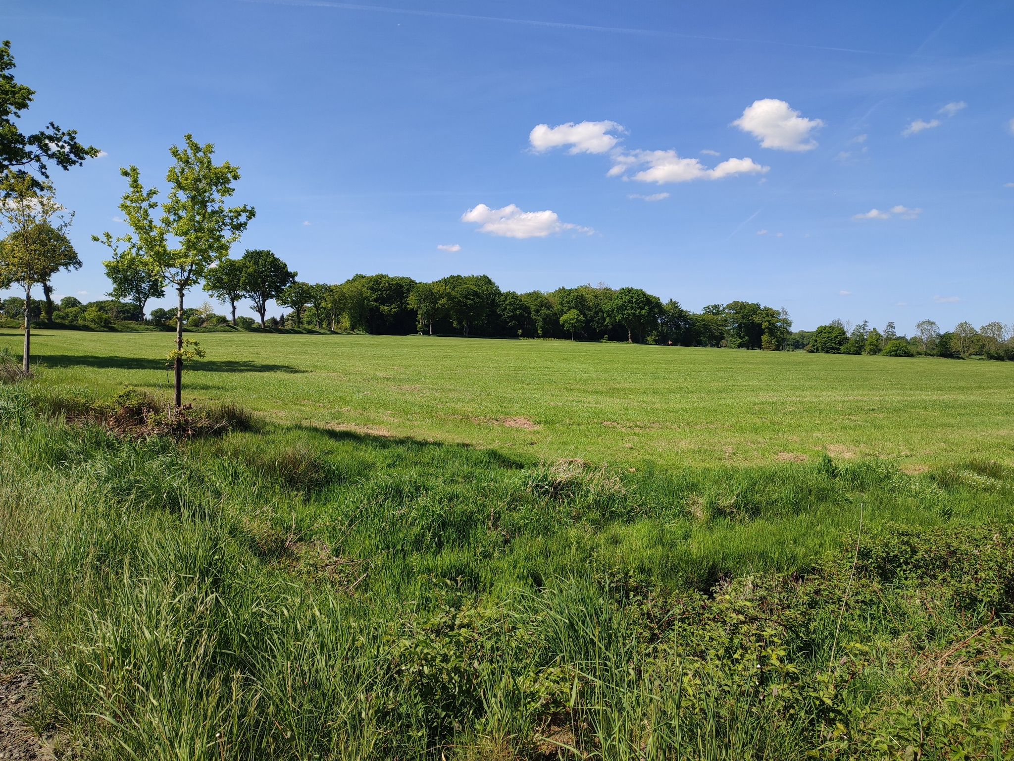 schöne weite Landschaft ohne Berge