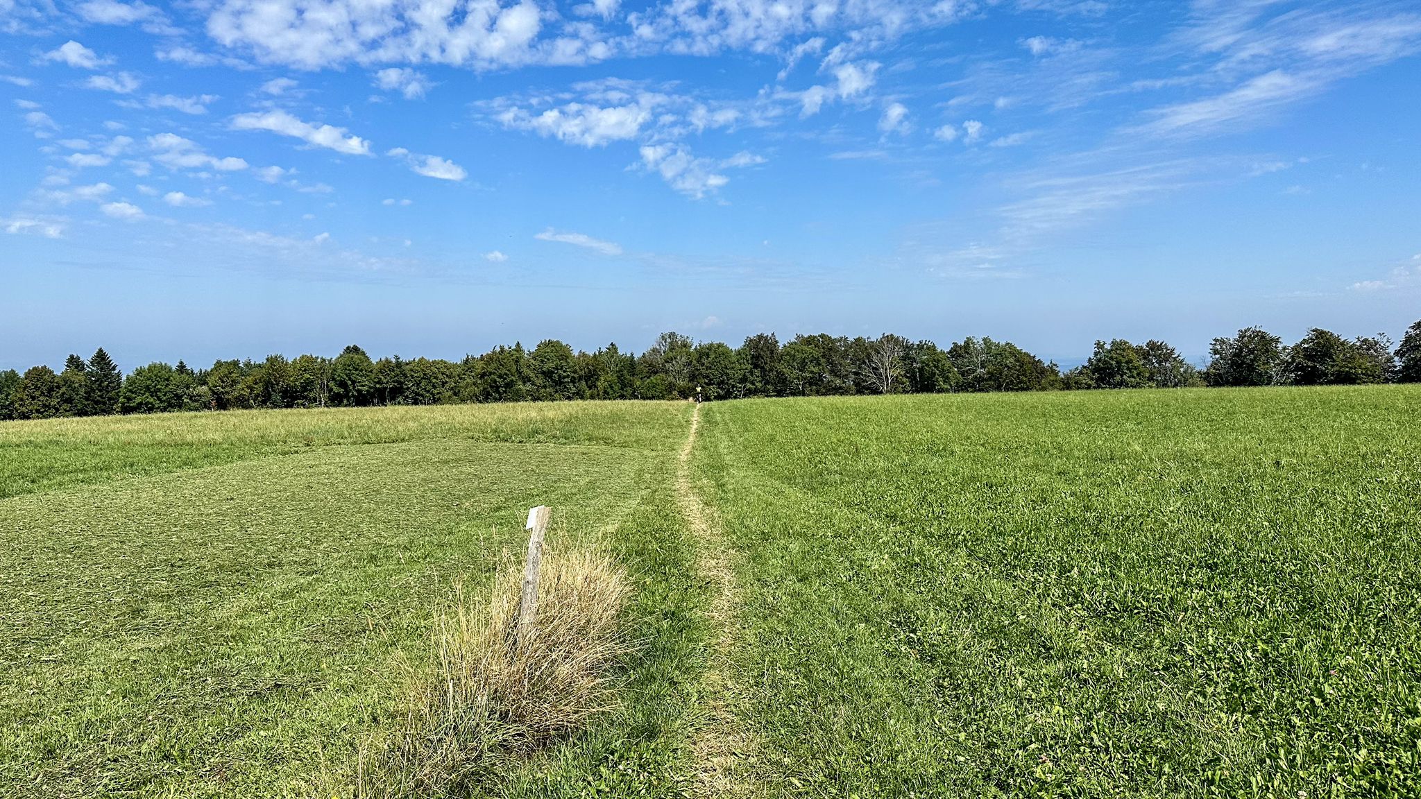 ...dem Panoramaweg entlang...