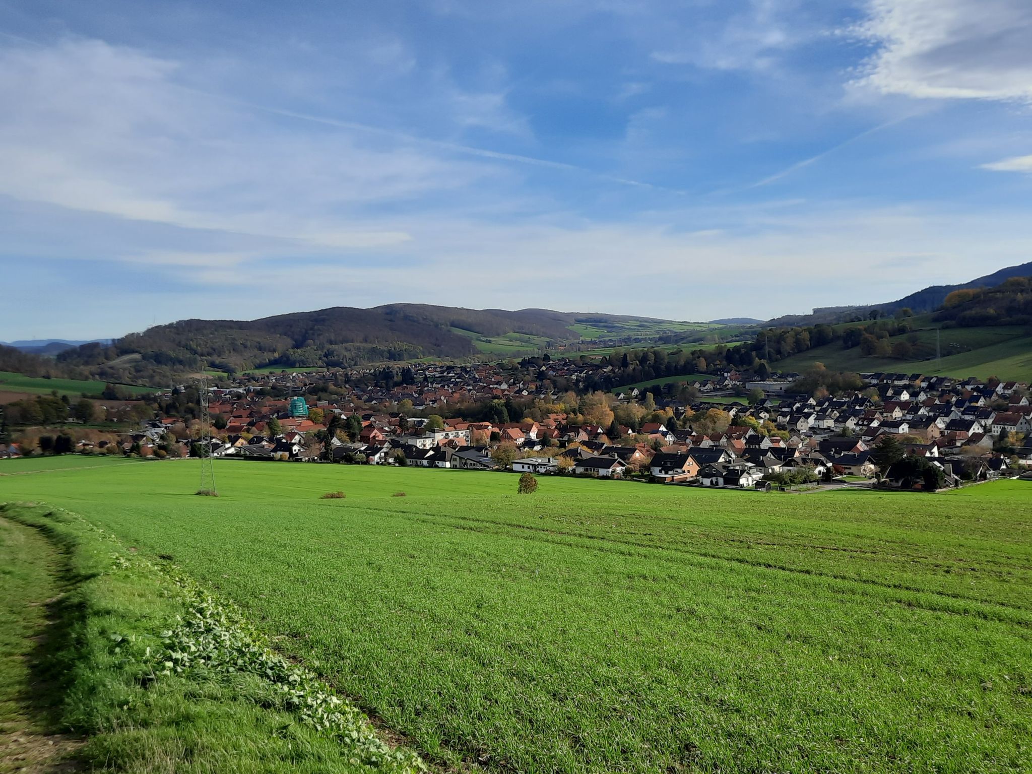 Delligsen