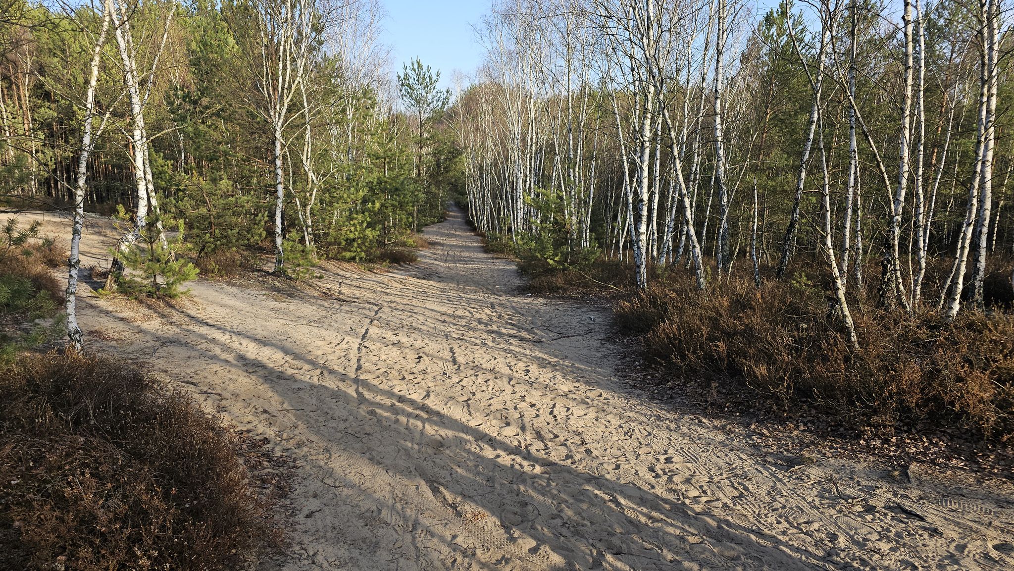 Trail view - droga piaszczysta mocno, ale da się jechać.