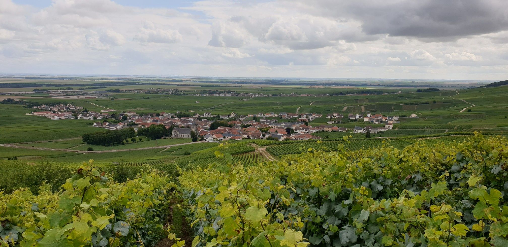 Oger en 1er plan et Le Mesnil-sur-Oger 